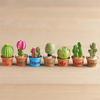 Miniature Cactus Decoration Set of 7