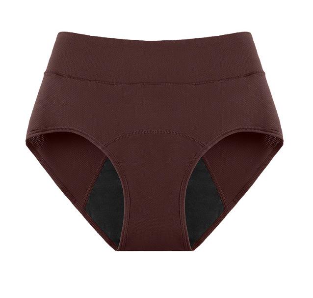 Women's 4-Layer Leak-Proof Period Underwear with Breathable Fabric, 100ml Absorption
