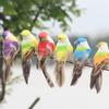 12Pcs Beautiful Colorful Simulation Foam Bird Decor Garden Plants Decoration Ornament