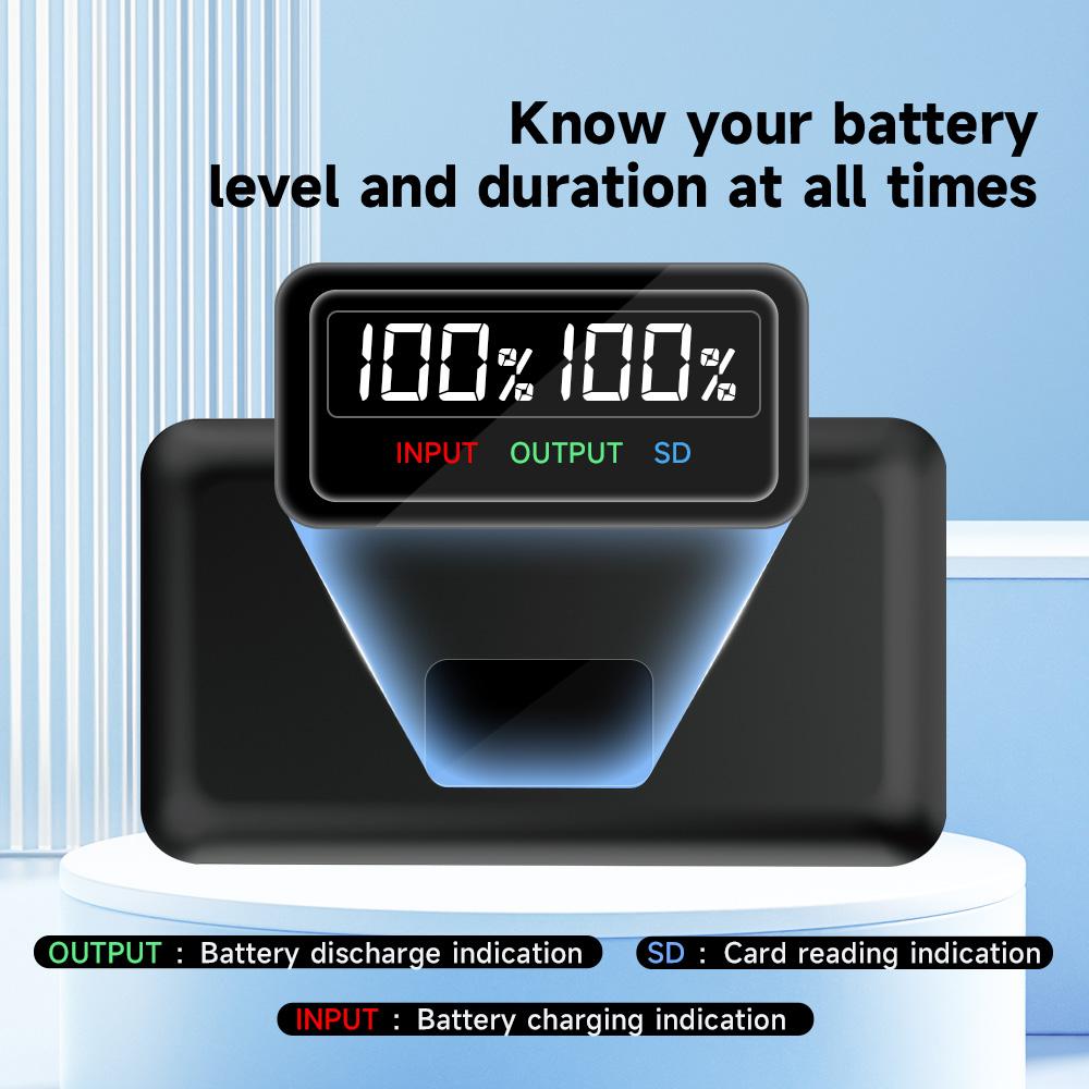 DMW BLF19 DMW-BLF19E dmw blf19 Батарея для камеры BLF19 BLF19E + коробка для хранения ЖК-дисплея с двойным зарядным устройством для Panasonic Lumix GH3 GH4 GH5 G9GK