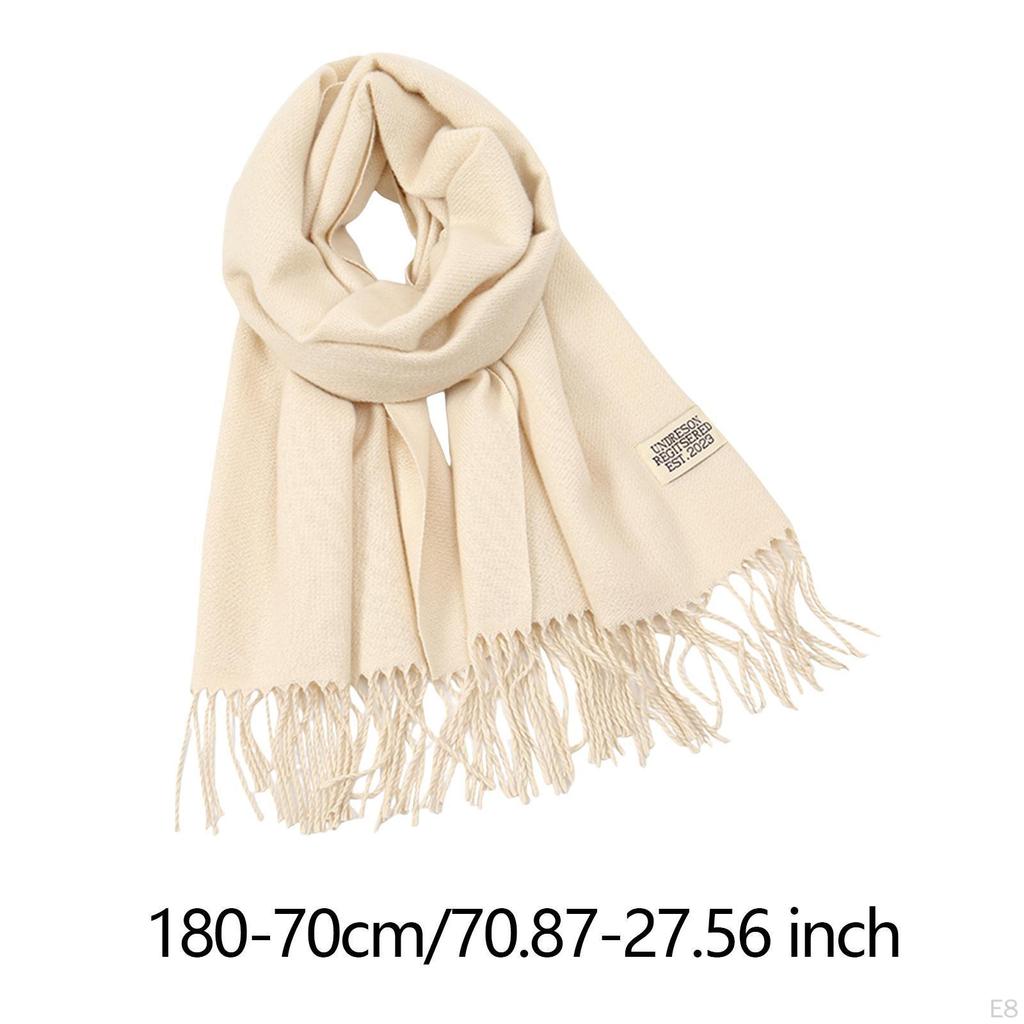 Fall Winter Scarf Pashmina Shawl Wrap Trendy Long Lady Women's for Evening