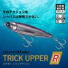 Daiwa Seabass Lure MT Trick Upper-R105F Chart Konoshiro Sand 105mm