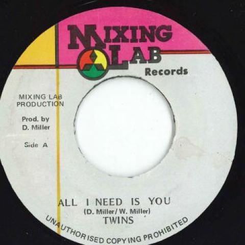 7-дюймовая пластинка TWINS - All I Need Is You / Version none Mixing Lab 199- Ямайка Регги, Ска и Даб