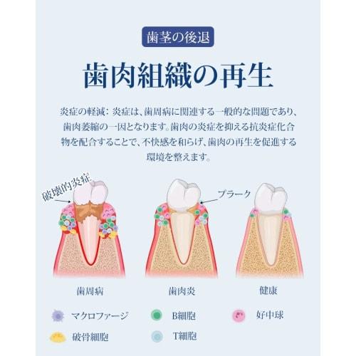 Гель для ухода за деснами, Гель для лечения десен при рецессии, Periodontal Pro Care, 16 г/4 мл, Натуральные ингредиенты, Неабразивный, Гель для ухода за деснами, Отбеливает зубы, Очищает