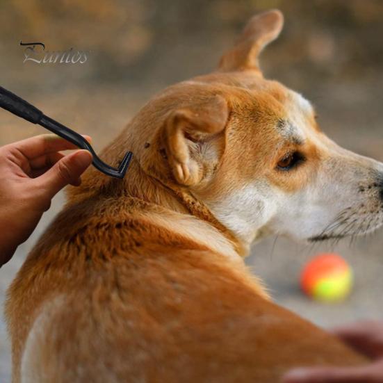 3 шт., эффективное средство для удаления блох для домашних животных, крючок для удаления клещей, безопасный уход за домашними животными, инструменты для извлечения клещей, товары для домашних животных