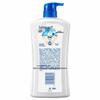 Safeguard Body Wash Twin Pack (Aloe Vera & Lemon Scents)