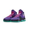 Nike LeBron 19 EP Фиолетовый Бирюзовый DC9340-500