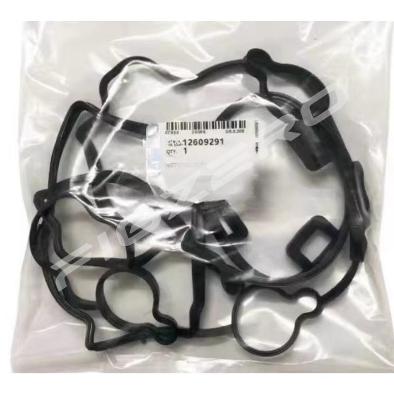 12609291 Genuine Valve Cover Gaskets Valves Covers Rubber Ring Sealing Gasket for Chevrolet Captiva for Opel Antara 2.4 11-17
