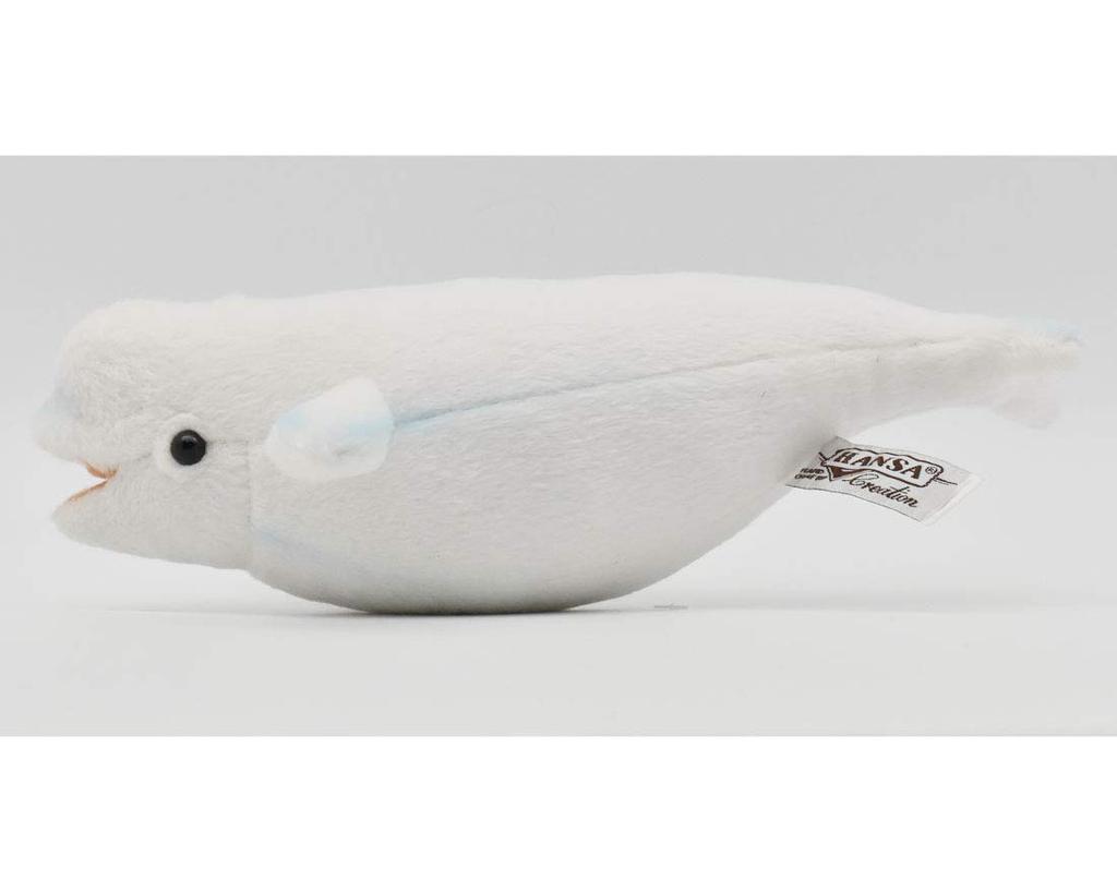 BH6651 HANSA Beluga 25