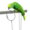 Buckle Cockatiel Pigeon Bird Stand Ankle Bird Accessories Parrot Foot Ring Parakeet Foot Chain