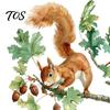 Soft Watercolor Illustration Decals Squirrel Wall Sticker, Cute Tree Branch Decal, Stickers Forest Animal Mural Art for Living Room, Bedroom, Nursery