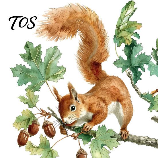 Soft Watercolor Illustration Decals Squirrel Wall Sticker, Cute Tree Branch Decal, Stickers Forest Animal Mural Art for Living Room, Bedroom, Nursery