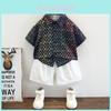 Trendy Summer Boys Shirt And Shorts Set For Ages 3 To 8 Soft Cotton Comfort