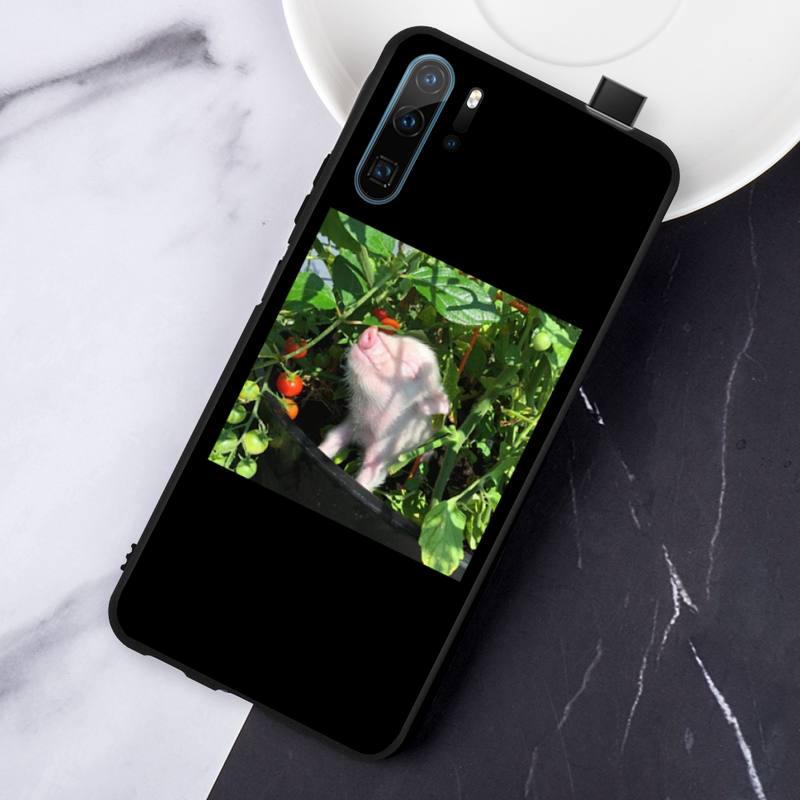 Pet Pig Aesthetically Interesting Pattern Phone Case For Huawei Honor Mate P 10 20 30 40 I 9 8 Pro X Lite Smart 2019 Nova 5t