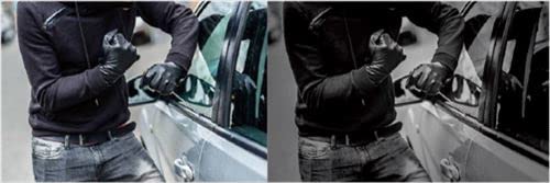 Bushnell Digital Night Vision Scope Equinox X650 EX650