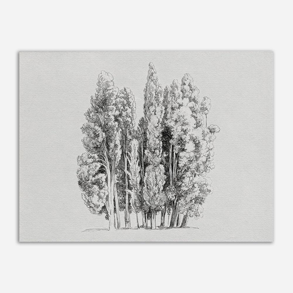 Винтажная галерея, настенное искусство, винтажная скандинавская картина на холсте, ретро антикварный постер и принты, розы, женские фотографии с короной, домашний декор