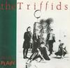 CD TRIFFIDS - Treeless Plain D19936 Mushroom Австралия Рок Б/у