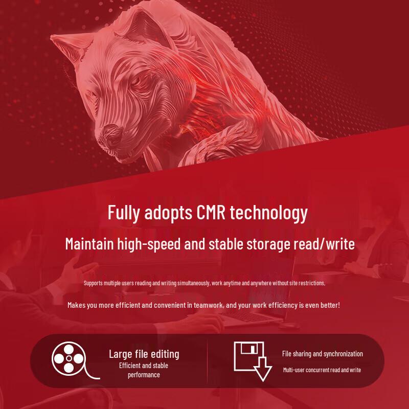 Seagate IronWolf NAS Hard Drive