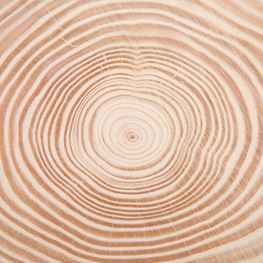 Натуральное дерево Необработанные деревянные круги Украшения Неправильное дерево с корой