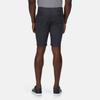 Regatta Mens Sandros Shorts