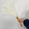 Beautiful for Wedding Party Decor Fluffy Pampas Bouquet Artificial Flowers Pampas Grass Fake Reeds