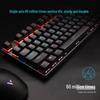 Rapoo V500PRO Wired Backlit Mechanical Keyboard