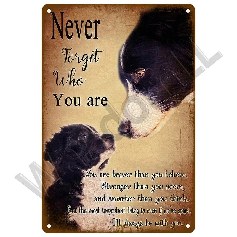 Металлический знак в стиле ретро, черный кот, постер, забавный оловянный знак с котом, винтажная табличка с изображением животного, домашний декор, настенное искусство, зоомагазин, садовая табличка для бара для собак