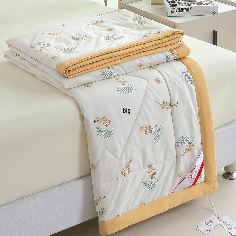 Hengyuanxiang Skin-friendly Summer Quilt