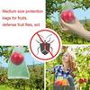 Fruit Protection Anti Insect Mesh Protect Bag Plant Protection Bag Plant Caver Bags Fruit Net Bags