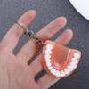 Resin Upper Jaw Teeth Shape Teeth Keyring Teeth Pendant Tooth Key Chain Denture Key Chain