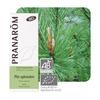 Pranarom Huile Essentielle Bio Pin Сильвестр 10 мл