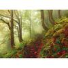 5D DIY Алмазная картина Туманный лес Вышивка Мозаика Вышивка крестом Декор Стразы