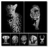 Черно-белый лев слон тигр леопард постер декоративные картины холст настенное искусство фотографии картины гостиная домашний декор