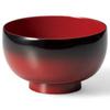 Lacquerware Dishwasher Made In Japan J-kitchens Bowl, Hand-Painted, Safe, PID-527575,