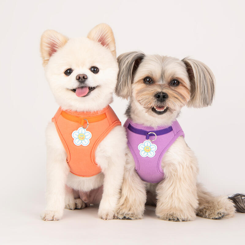 Flower Front Anti-Slip Harness M (OAVA-HB6249)