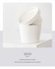 Phalaenopsis Nordic Ceramic Flower Pot - Luxury Style Home Decor Dining Table Accent
