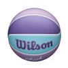 Wilson Basketball Caitlin Clark DREAMER Outdoor Size 6 Ball WZ3021202XB6