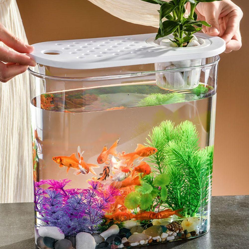 Мини-пластмассовый аквариумный цилиндр, аквариум с золотыми рыбками, ведро для рыбы, чаша для золотых рыбок, резервуар для просмотра