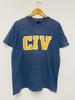 Vintage 90s CIV Band Hardcore Punk Rock Music T-Shirt / Skate Punk / New York City Hardcore / Tour / Punk / HxC / Blue / M