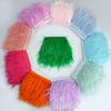 2M Ostrich Feather Cloth Edge 8-10 Cm Cuffs Clothing Skirt Decorative Accessories Color Ostrich Feather Cloth With Feathers