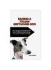 Книга Italian Greyhound Dog : The Complete Handbook On How To Raising And Caring For Italian Greyhound Dog