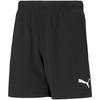 Childrens/Kids TeamRISE Shorts