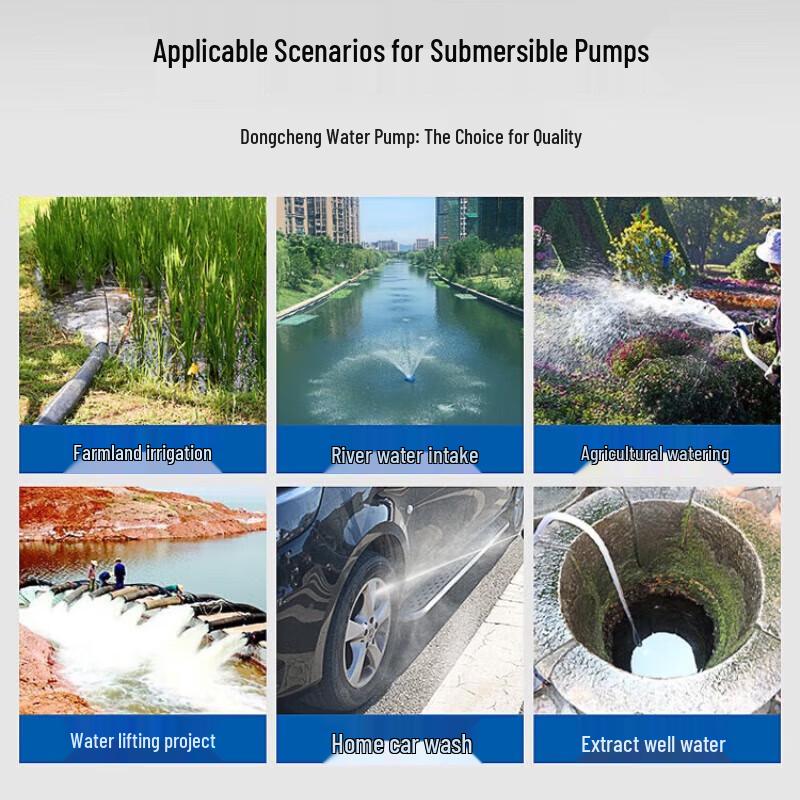 Dongcheng Submersible Sewage & Irrigation Pump CN plug (adapter included)