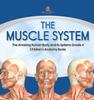 The The Muscle System The Amazing Human Body and Its Systems Grade 4 Children's Anatomy Books Book