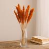 Dried Cantal Grass Bunches - Orange Set of 6
