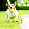 5 см Собака Питомец Теннис Интерактивная Игрушка Жевательный Мяч Бросание Высоко Прыгающий Мяч Детский Мяч Для Питомец Собака Принадлежности Горячая Распродажа Щенок Аксессуары