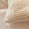 Thickened Taffeta Milk Velvet Winter Duvet