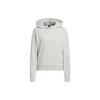 City Escape Hooded Sweatshirt With Solid Color Logo Women Tops Silver-Gray IP7077