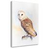 Canvas Print Owl