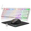 Механическая клавиатура с RGB-подсветкой и игровой набор мыши для офиса и игр